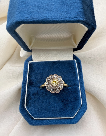 Anello cod 8142